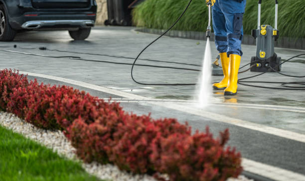 Best Exterior Home Cleaning  in Woods Cross, UT